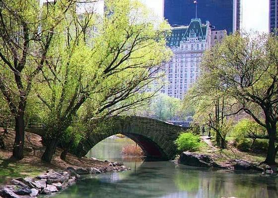 Comfort Inn Chelsea New York Bagian luar foto